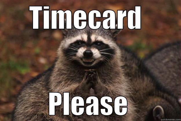 Friday Reminder - TIMECARD  PLEASE Evil Plotting Raccoon