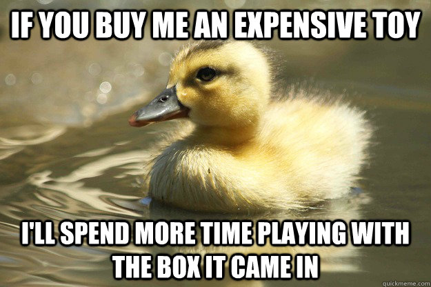 if you buy me an expensive toy I'll spend more time playing with the box it came in  Duckling Advice Mallard