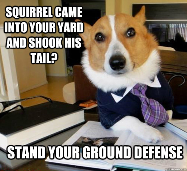 squirrel came into your yard and shook his tail? stand your ground defense  Lawyer Dog