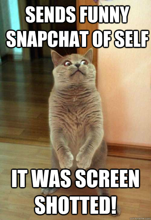 Sends funny snapchat of self it was screen shotted!  Horrorcat