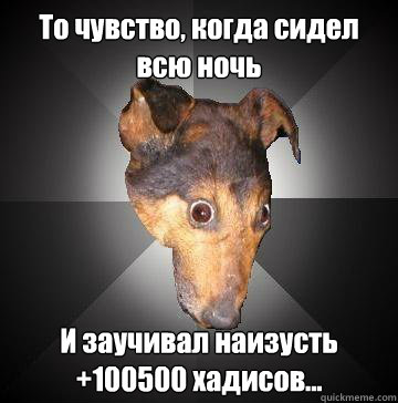 То чувство, когда сидел всю ночь И заучивал &  Depression Dog