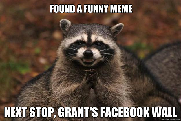 Found a funny meme next stop, grant's facebook wall  Evil Plotting Raccoon