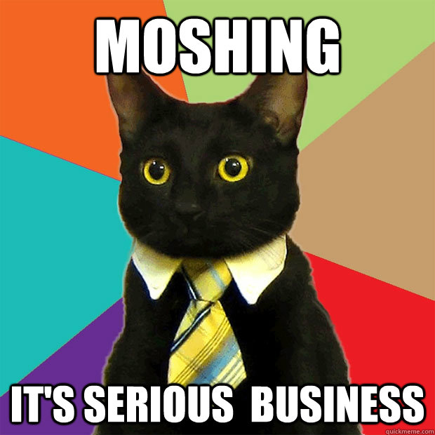 Moshing It's Serious  Business  Business Cat