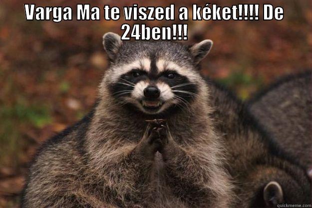 VARGA MA TE VISZED A KÉKET!!!! DE 24BEN!!!  Evil Plotting Raccoon