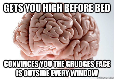 Gets you high before bed Convinces you the grudges face is outside every window  Scumbag Brain