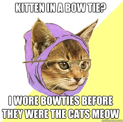 kitten in a bow tie? I wore bowties before they were the cats meow  Hipster Kitty