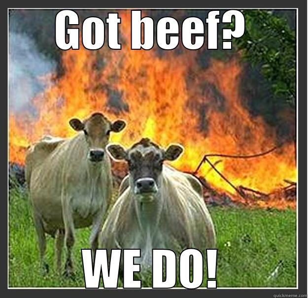 GOT BEEF? WE DO! Evil cows