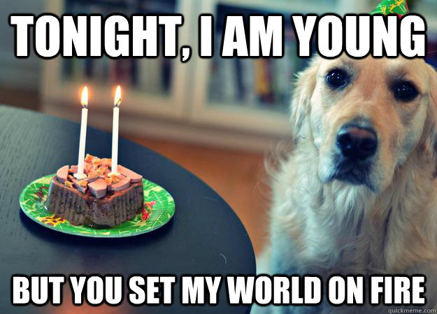 Tonight, I am young but you set my world on fire  Sad Birthday Dog