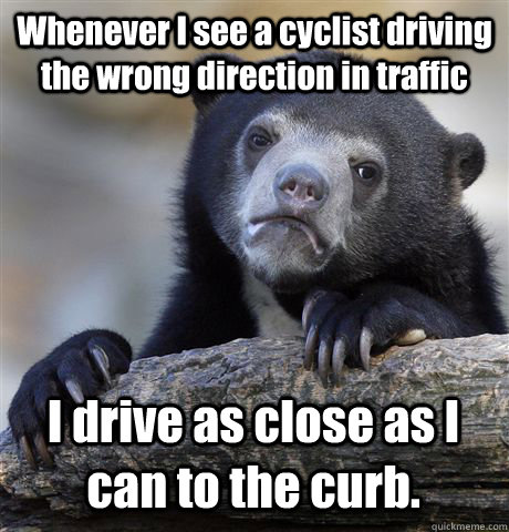 Whenever I see a cyclist driving the wrong direction in traffic I drive as close as I can to the curb.  Confession Bear