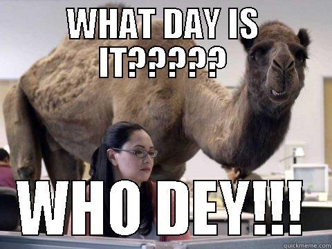 Who Dey Camel - WHAT DAY IS IT????? WHO DEY!!! Misc