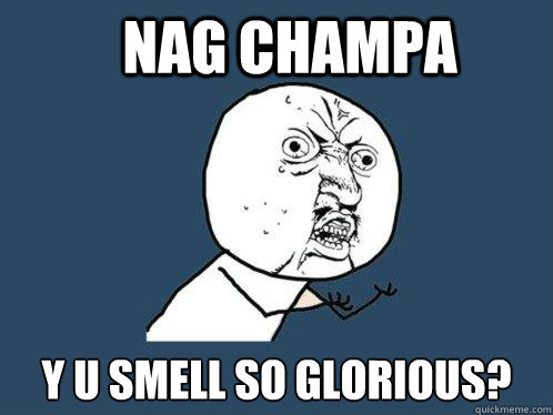 Nag champa y u smell so glorious?  Y U No