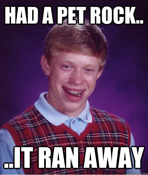 Had a pet rock.. ..it ran away  Bad Luck Brian