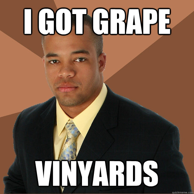 I got Grape Vinyards  Successful Black Man