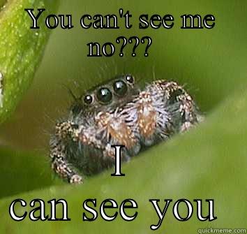 I spy with my little eye  - YOU CAN'T SEE ME NO??? I CAN SEE YOU  Misunderstood Spider