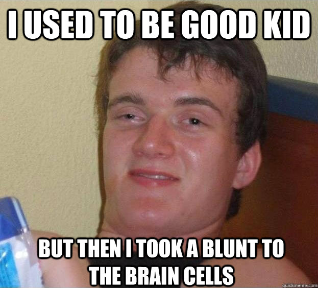 I used to be good kid but then i took a blunt to the brain cells - I used to be good kid but then i took a blunt to the brain cells  The High Guy