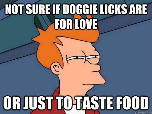 Not sure if doggie licks are for love or just to taste food  Futurama Fry