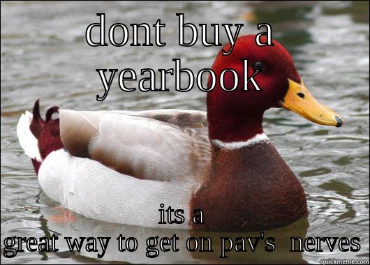 intense cow  - DONT BUY A YEARBOOK ITS A GREAT WAY TO GET ON PAV'S  NERVES Malicious Advice Mallard