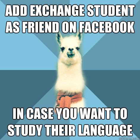 Add exchange student as friend on facebook In case you want to study their language - Add exchange student as friend on facebook In case you want to study their language  Linguist Llama