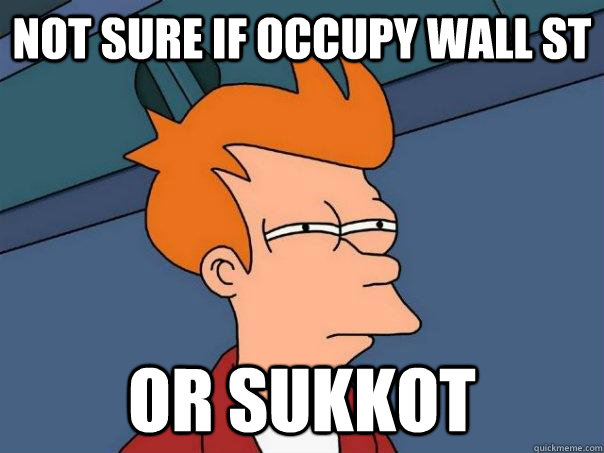 Not sure if Occupy Wall St Or Sukkot  Futurama Fry