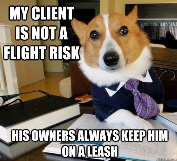 My client is not a flight risk His owners always keep him on a leash  Lawyer Dog