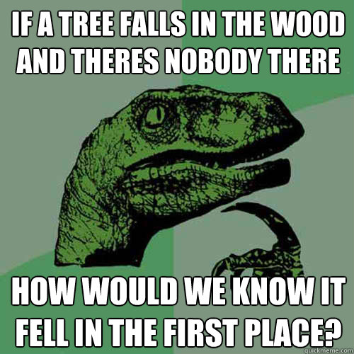 if a tree falls in the wood and theres nobody there  how would we know it fell in the first place? - if a tree falls in the wood and theres nobody there  how would we know it fell in the first place?  Philosoraptor