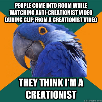 people come into room while watching anti-creationist video during clip from a creationist video They think i'm a creationist - people come into room while watching anti-creationist video during clip from a creationist video They think i'm a creationist  Paranoid Parrot