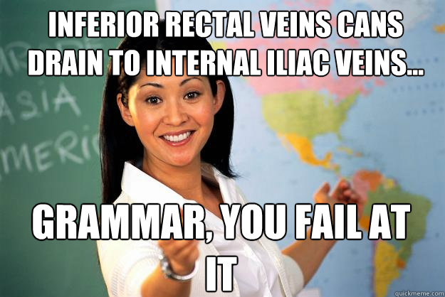 inferior rectal veins cans drain to internal iliac veins... grammar, you fail at it - inferior rectal veins cans drain to internal iliac veins... grammar, you fail at it  Unhelpful High School Teacher