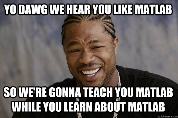 YO DAWG WE HEAR YOU LIKE MATLAB SO WE'RE GONNA TEACH YOU MATLAB WHILE YOU LEARN ABOUT MATLAB  Xzibit meme