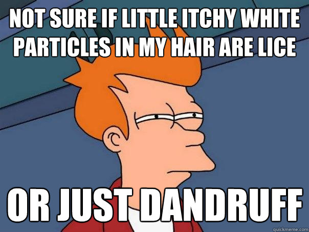 Not sure if little itchy white particles in my hair are lice or just dandruff   Futurama Fry