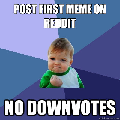 Post first meme on reddit no downvotes - Post first meme on reddit no downvotes  Success Kid