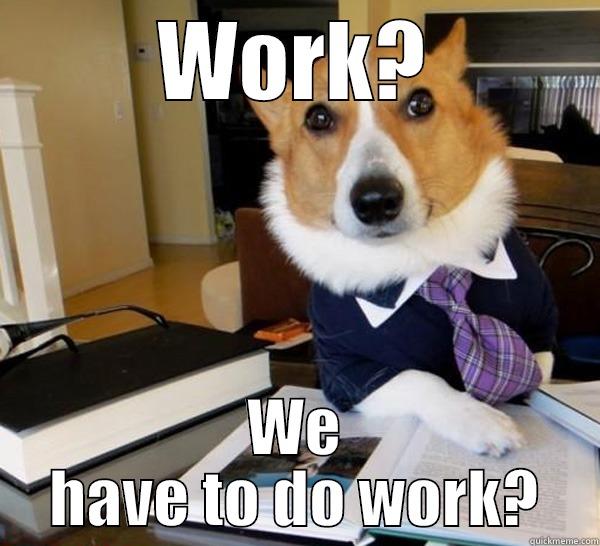 WORK? WE HAVE TO DO WORK? Lawyer Dog