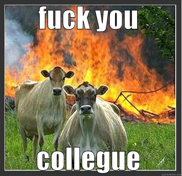 FUCK YOU COLLEGUE Evil cows