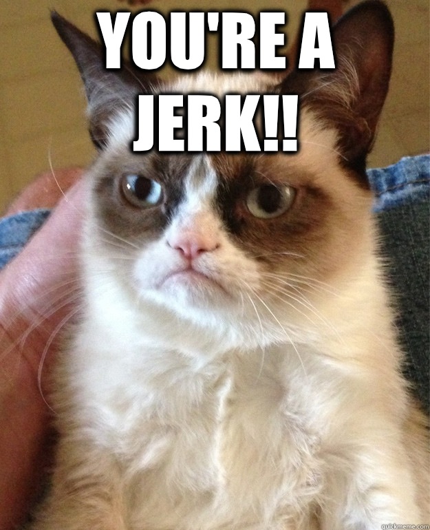 You're a jerk!!  - You're a jerk!!   Grumpy Cat