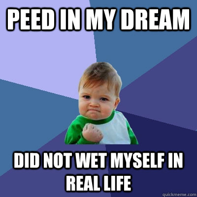 Peed in my dream Did not wet myself in real life  Success Kid