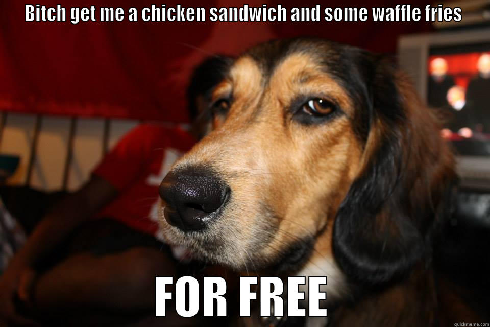 The Condescending Hound - BITCH GET ME A CHICKEN SANDWICH AND SOME WAFFLE FRIES FOR FREE Misc