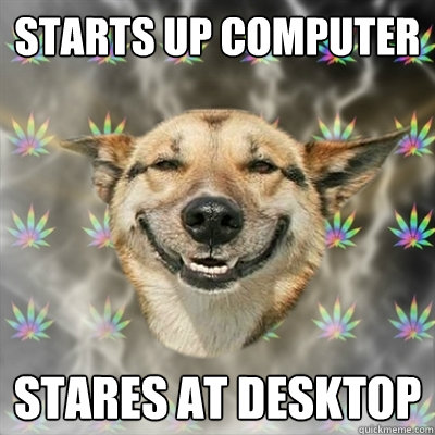 starts up computer stares at desktop  Stoner Dog