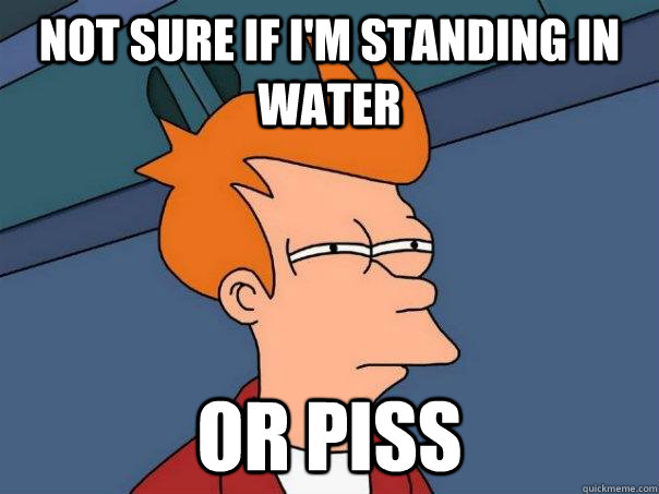 Not sure if i'm standing in water or piss - Not sure if i'm standing in water or piss  Futurama Fry