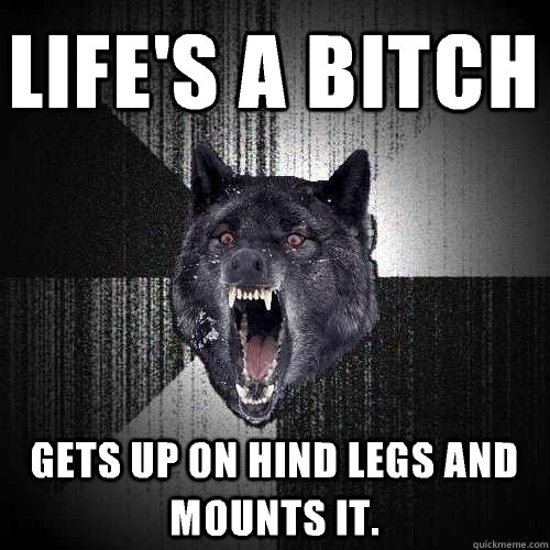 LIFE'S A BITCH Gets up on hind legs and mounts it.  Insanity Wolf