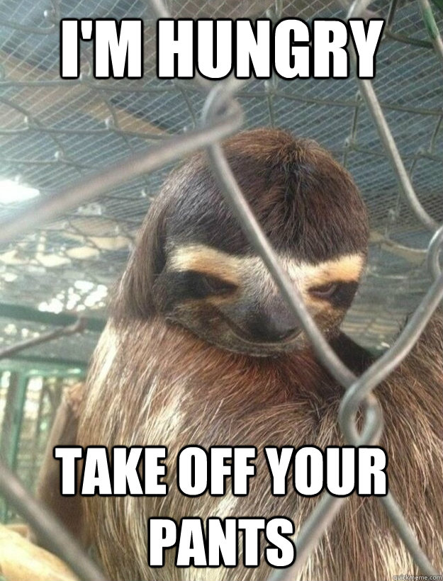 I'm hungry take off your pants - I'm hungry take off your pants  Creepy Sloth