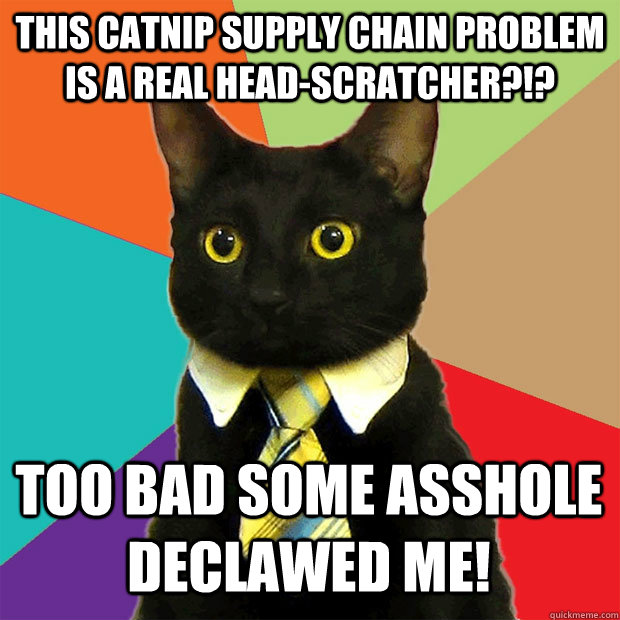 This Catnip supply chain problem is a real head-scratcher?!? Too bad some asshole declawed me!  Business Cat