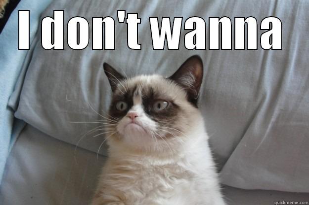 I don't wanna... - I DON'T WANNA  Grumpy Cat