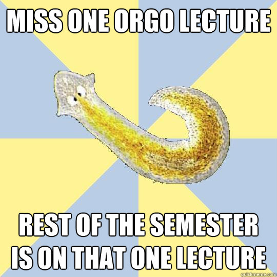 Miss one orgo lecture Rest of the semester is on that one lecture  Bio Major Planarian