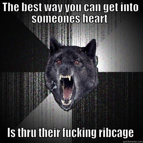 THE BEST WAY YOU CAN GET INTO SOMEONES HEART  IS THRU THEIR FUCKING RIBCAGE Insanity Wolf