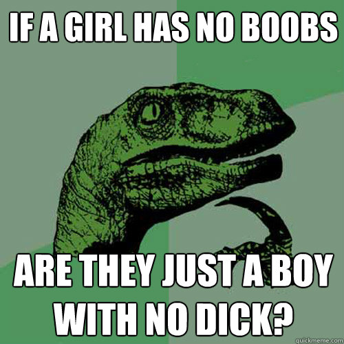 If a girl has no boobs Are they just a boy with no dick?  Philosoraptor