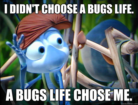 I didn't choose a bugs life. A bugs life chose me. - I didn't choose a bugs life. A bugs life chose me.  thug life.