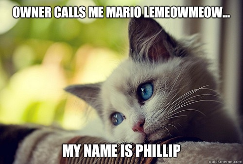 Owner calls me Mario LeMeowMeow... my name is phillip  First World Problems Cat