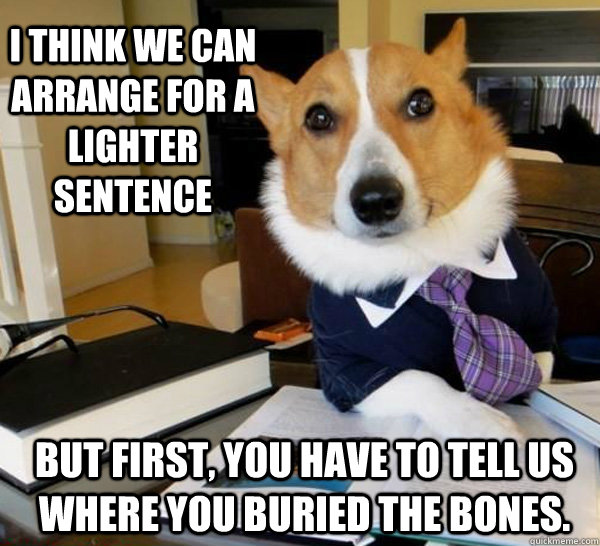 I think we can arrange for a lighter sentence  But first, you have to tell us where you buried the bones.  Lawyer Dog