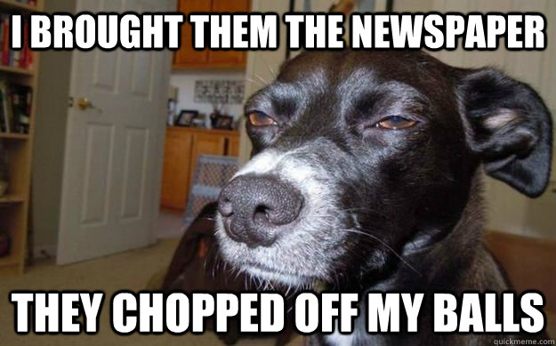 I brought them the newspaper They chopped off my balls  Skeptical Mutt