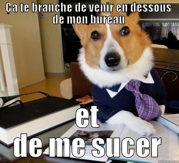 ÇA TE BRANCHE DE VENIR EN DESSOUS DE MON BUREAU ET DE ME SUCER Lawyer Dog