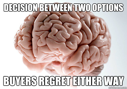 decision between two options buyers regret either way  Scumbag Brain